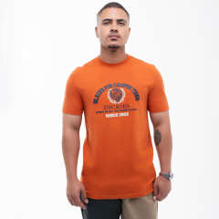 Dickies Columbia Graphic Short Sleeve T-shirt Orange